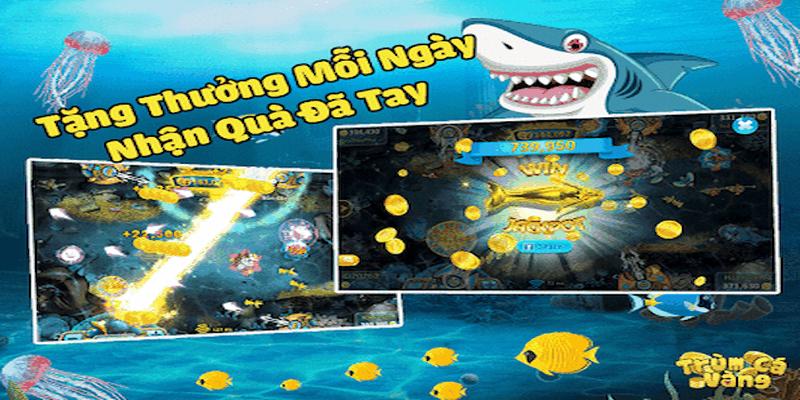 Vài nét sơ lược về Trùm cá vàng